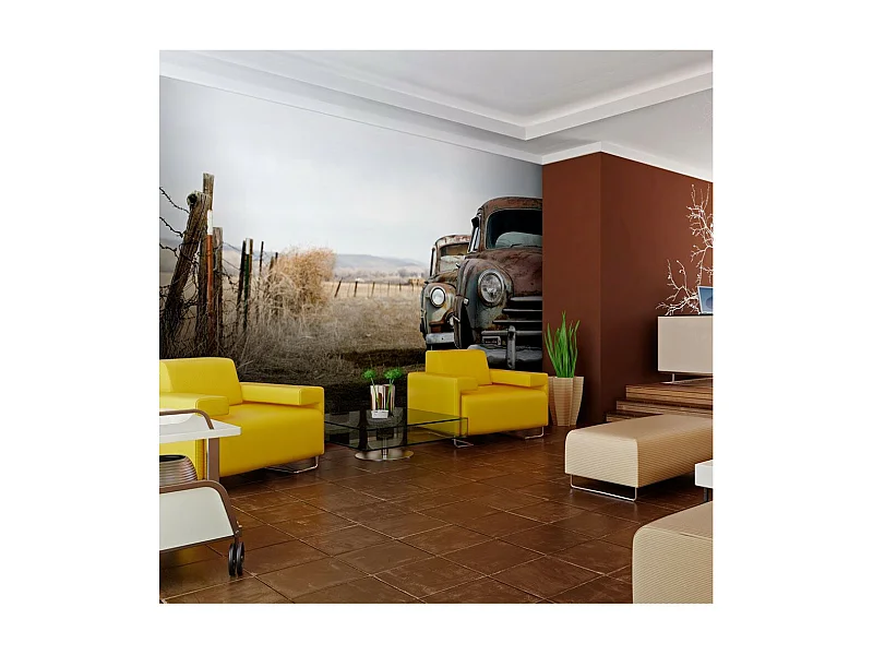 Papier Peint "Deux Vieilles Voitures Américaines" 270 x 350 cm