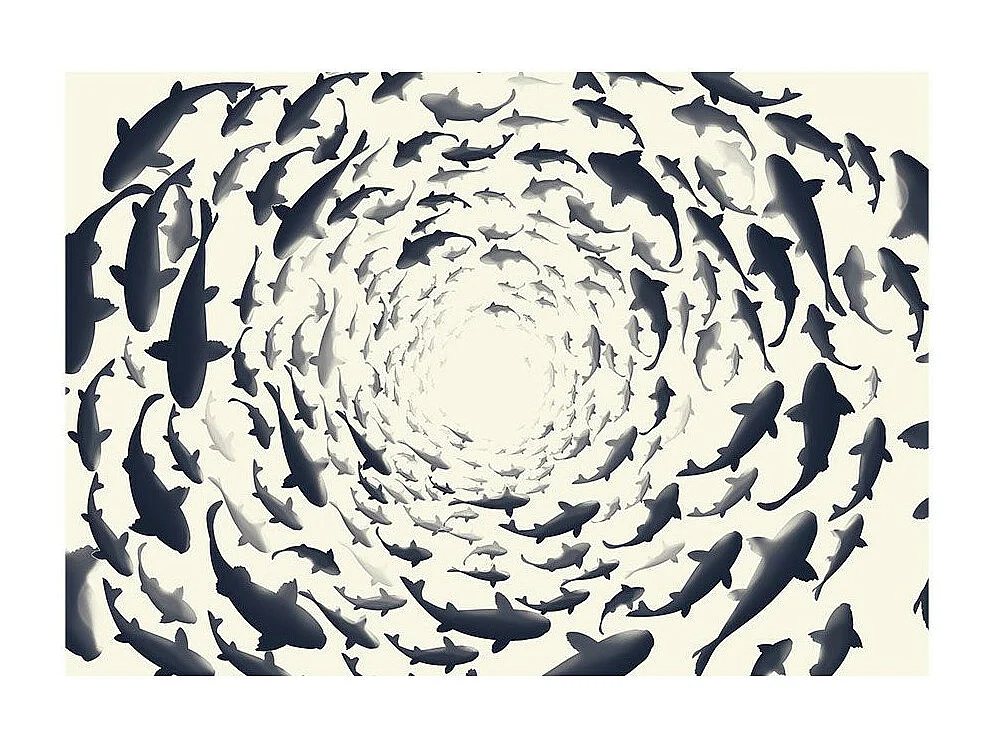 Papier Peint "Fish Swirl" 140 x 200 cm