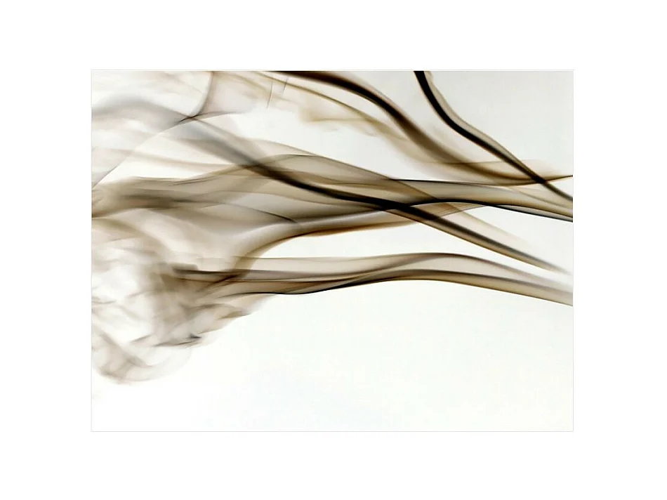 Papier Peint "Fumée Abstraction" 193 x 250 cm