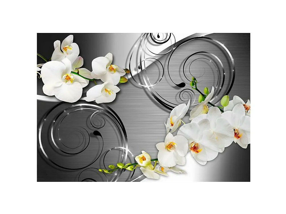 Papier Peint "Expectation" 175 x 250 cm