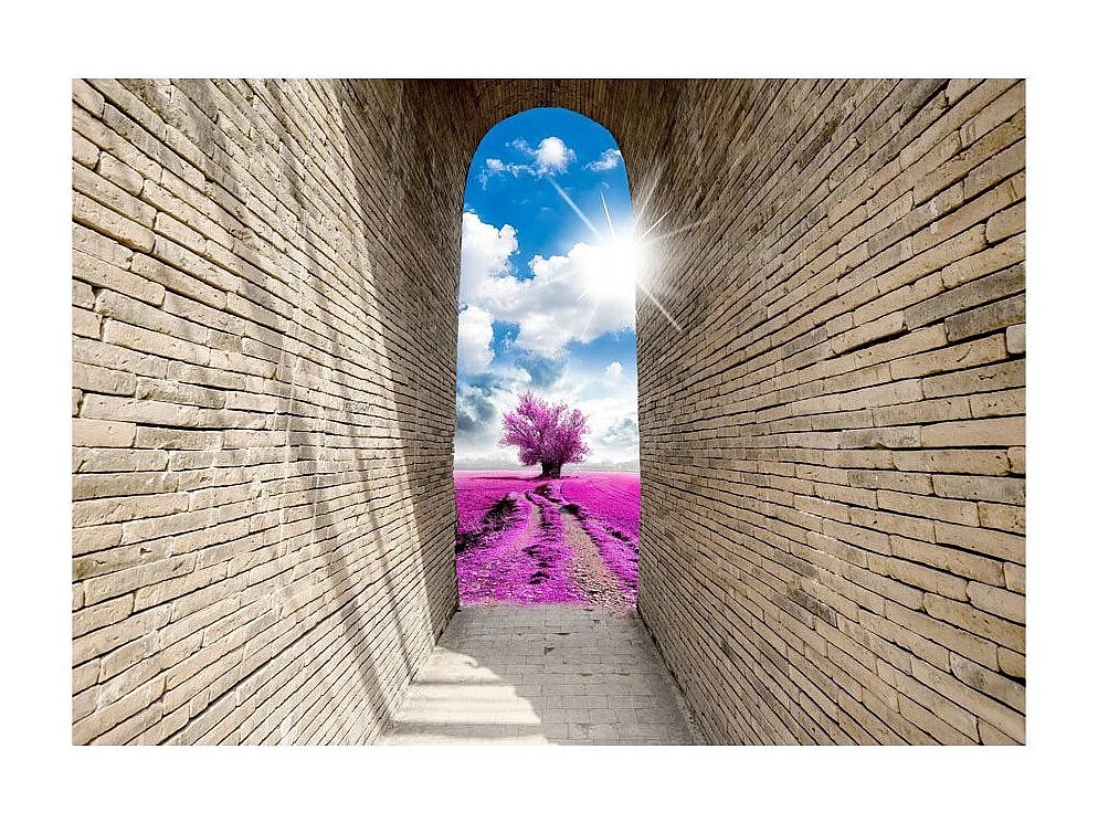 Papier Peint "Passage Magique" 210 x 300 cm