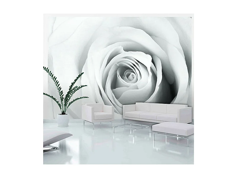 Papier Peint "Rose Charade" 105 x 150 cm