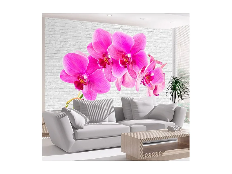 Papier Peint "Pink Excitation" 175 x 250 cm