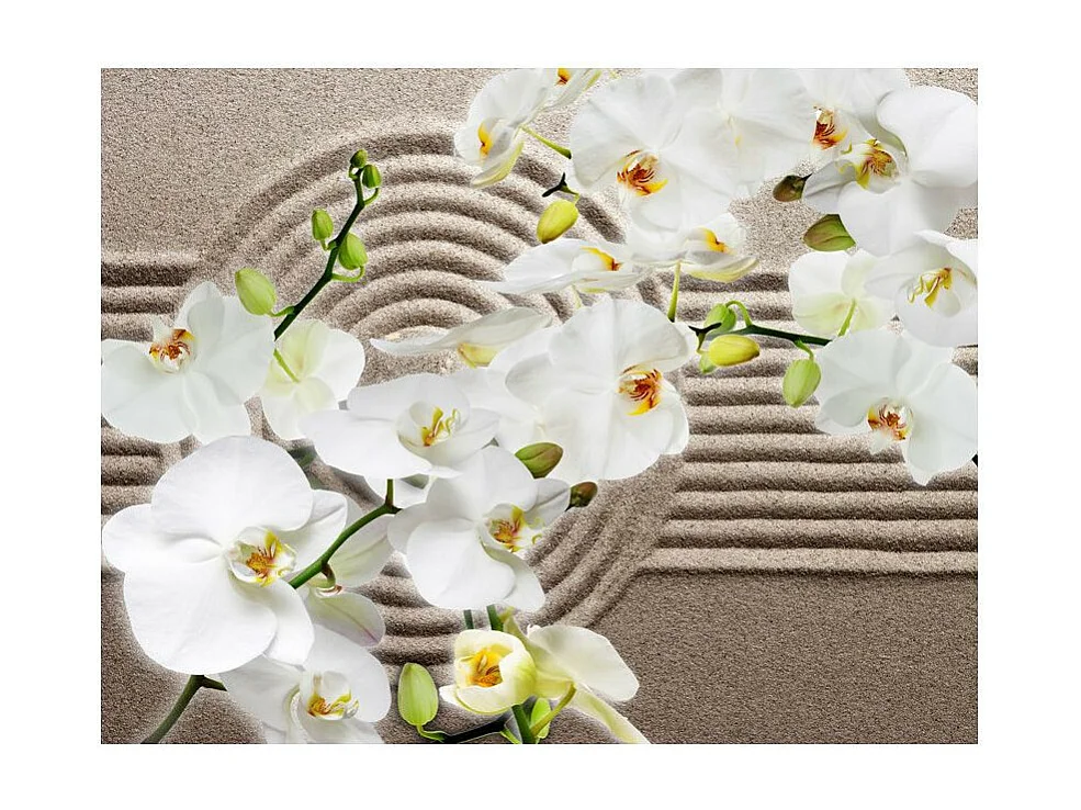 Papier Peint "Beautiful Zen Garden" 270 x 350 cm