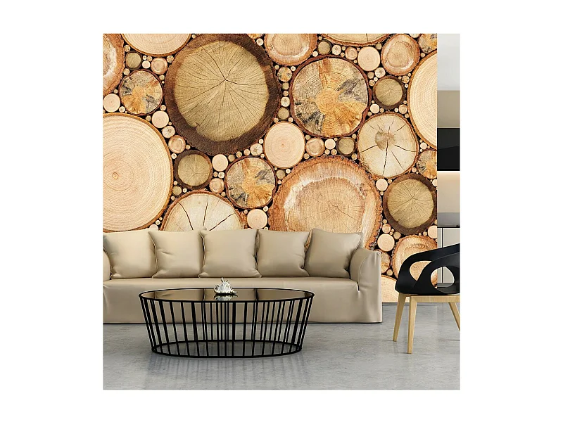 Papier Peint "Grains de Bois" 175 x 250 cm