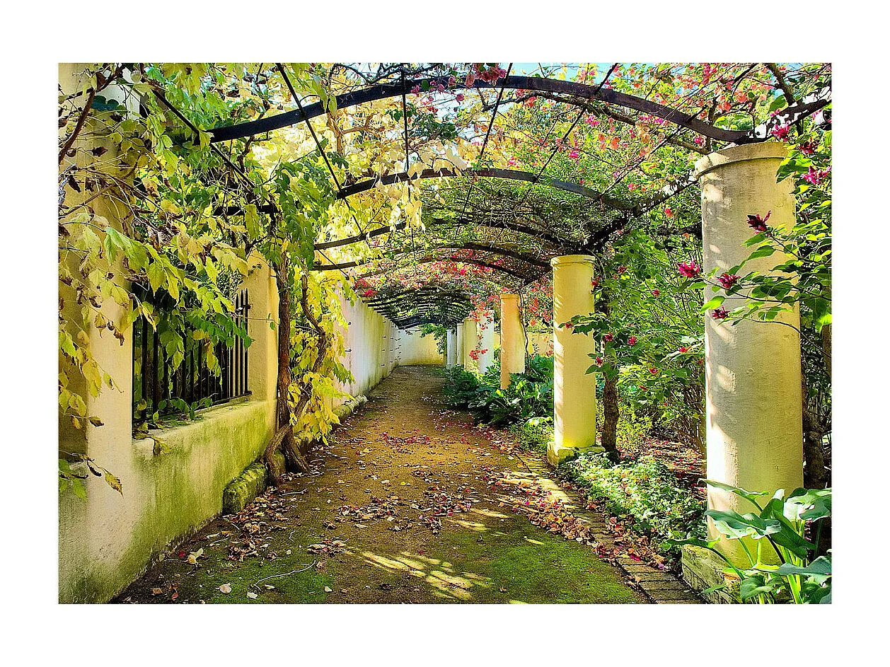 Papier Peint "Pergola" 140 x 200 cm