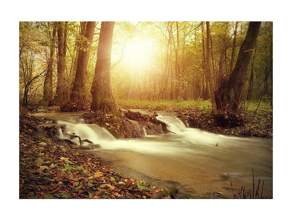 Papier Peint "Sunny Current" 105 x 150 cm