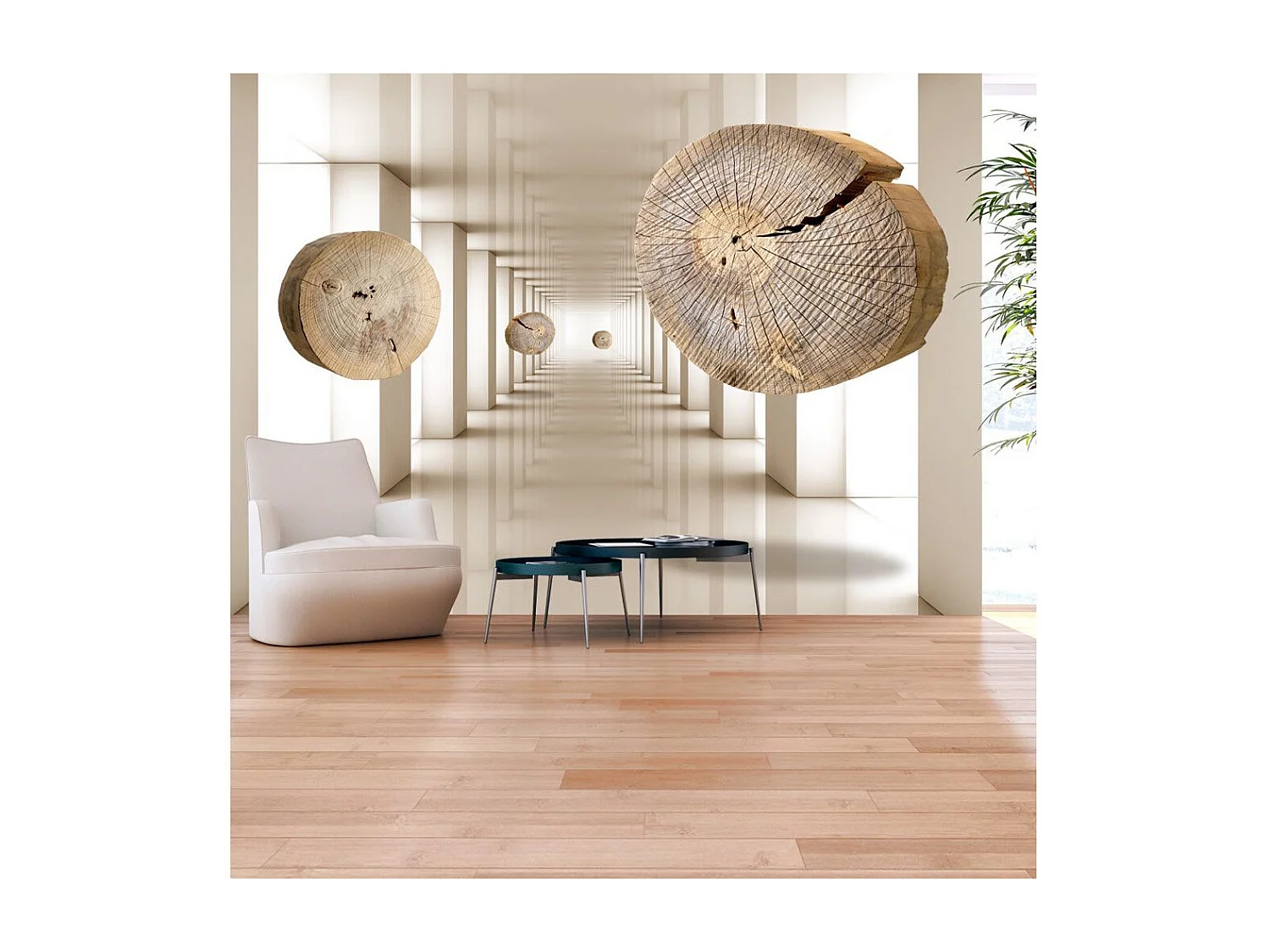 Papier Peint "Cercles de Bois Volants" 210 x 300 cm