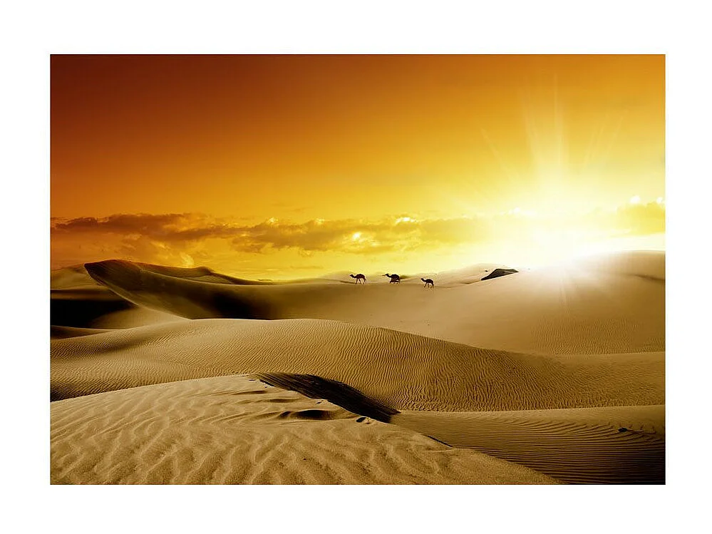 Papier Peint "March of Camels" 140 x 200 cm