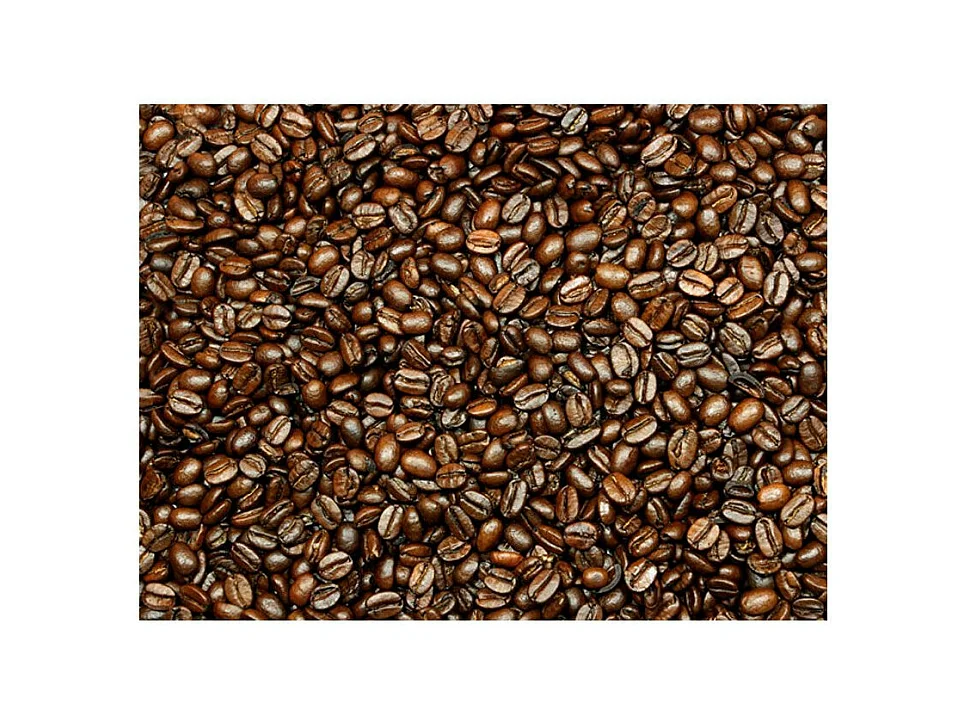 Papier Peint "Coffee Heaven" 193 x 250 cm