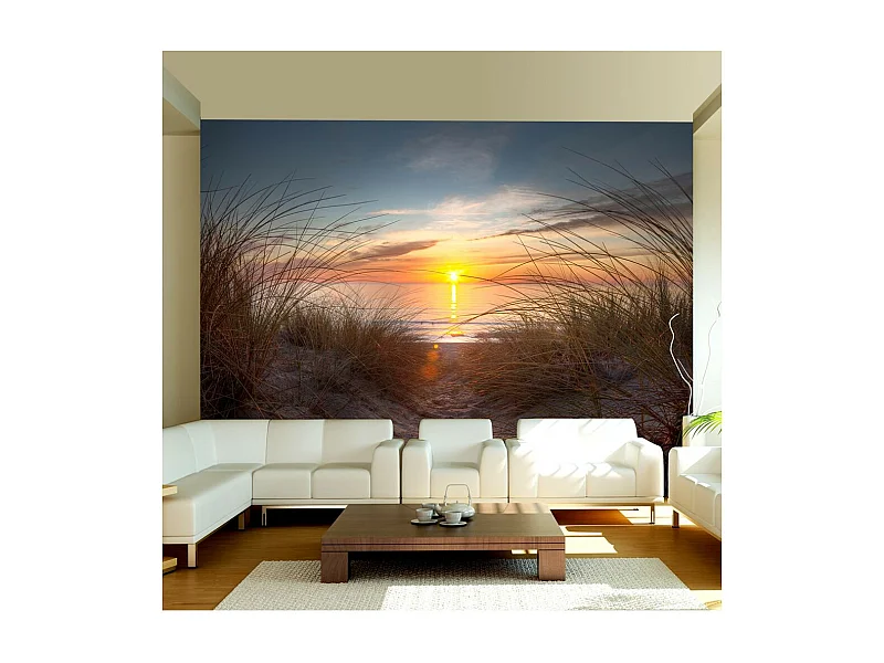 Papier Peint "Coucher de Soleil sur l'océan Atlantique" 231 x 300 cm