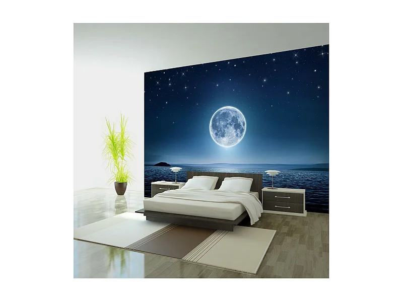 Papier Peint "Moonlit Night" 245 x 350 cm