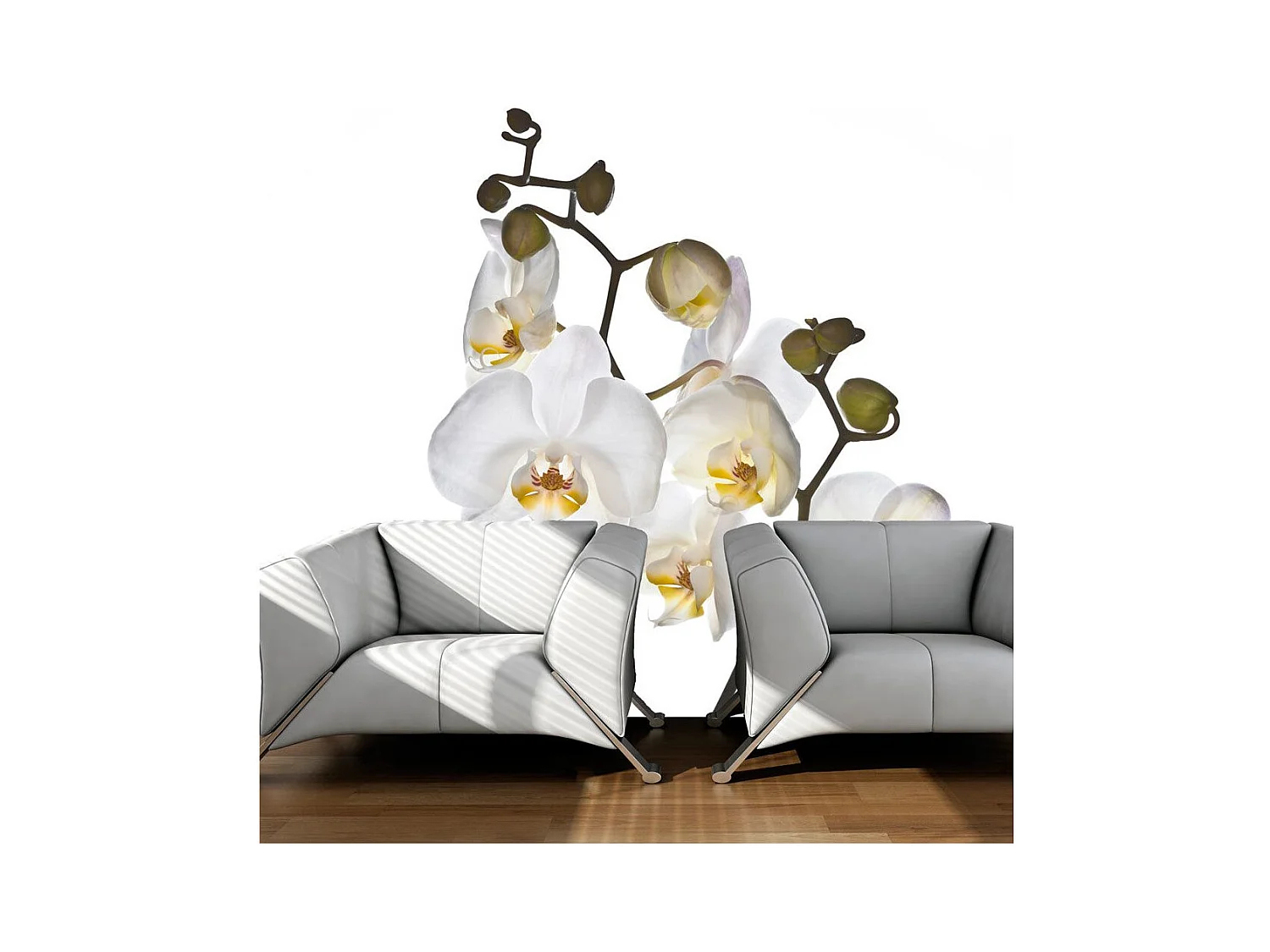 Papier Peint "Shyness" 154 x 200 cm