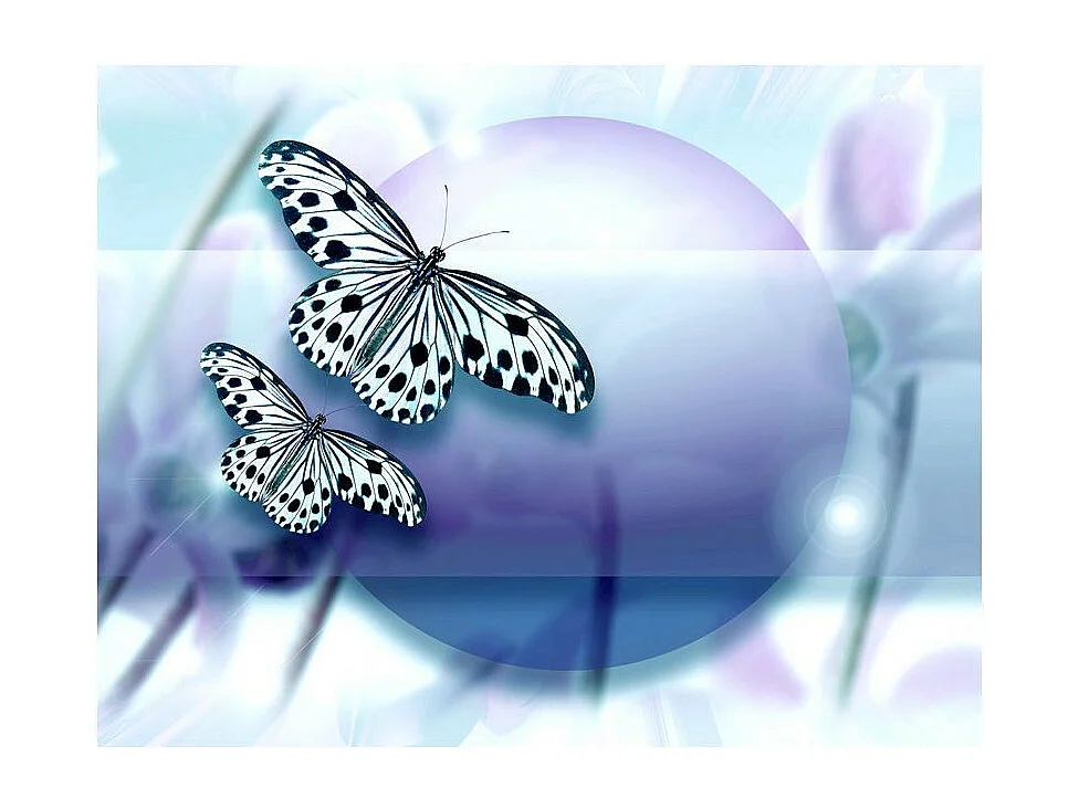 Papier Peint "Planet of Butterflies" 270 x 350 cm