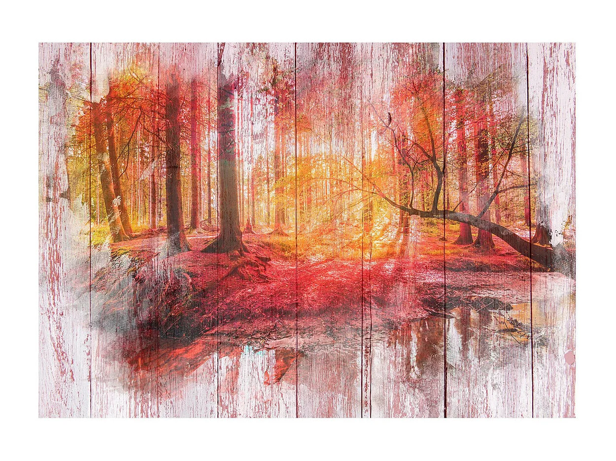 Papier Peint "Autumnal Forest" 210 x 300 cm