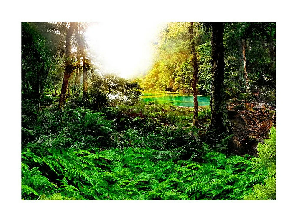 Papier Peint "In Tropics" 70 x 100 cm