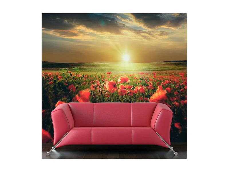 Papier Peint "Morning on the Poppy Meadow" 154 x 200 cm