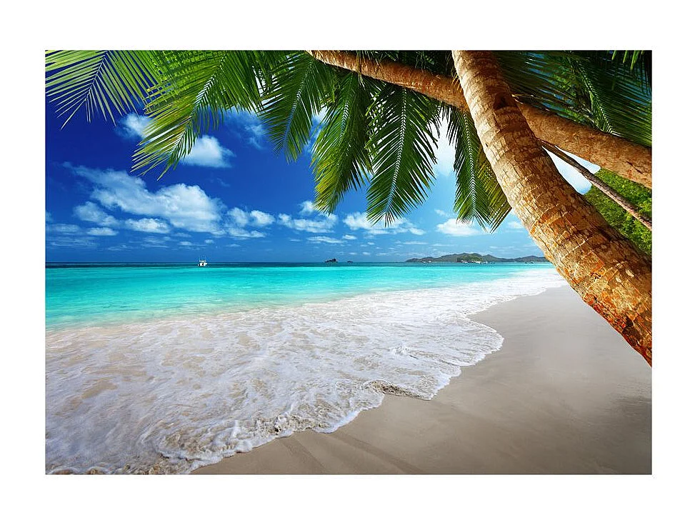 Papier Peint "Île Tropicale" 210 x 300 cm