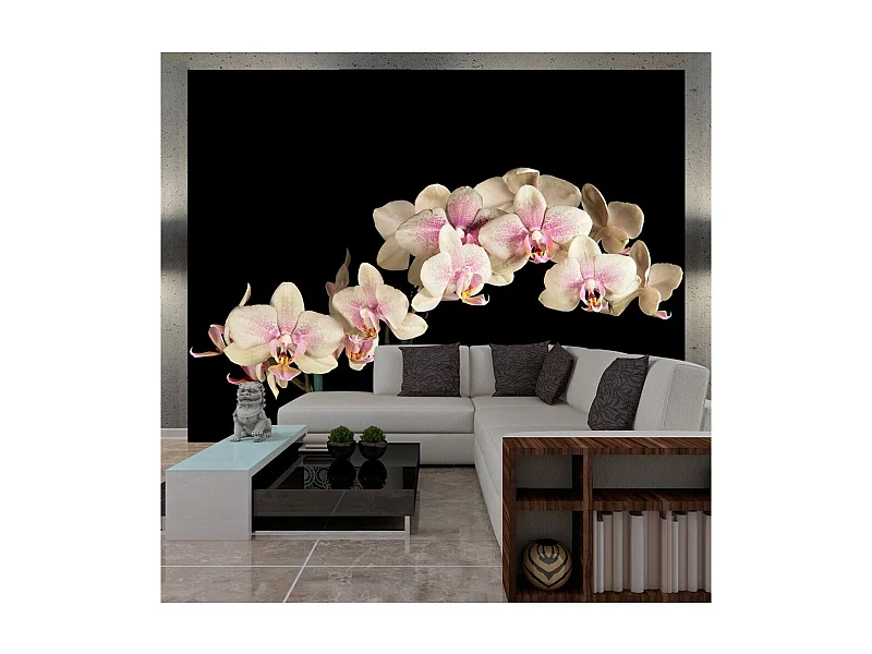 Papier Peint "Orchidée en Fleurs" 270 x 350 cm