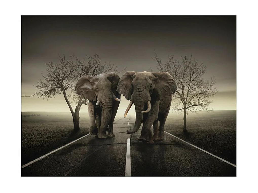 Papier Peint "Ville D'éléphants" 154 x 200 cm