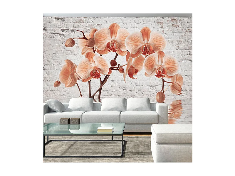 Papier Peint "The Orange Arc" 245 x 350 cm