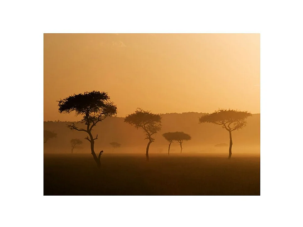 Papier Peint "Massai Mara" 154 x 200 cm