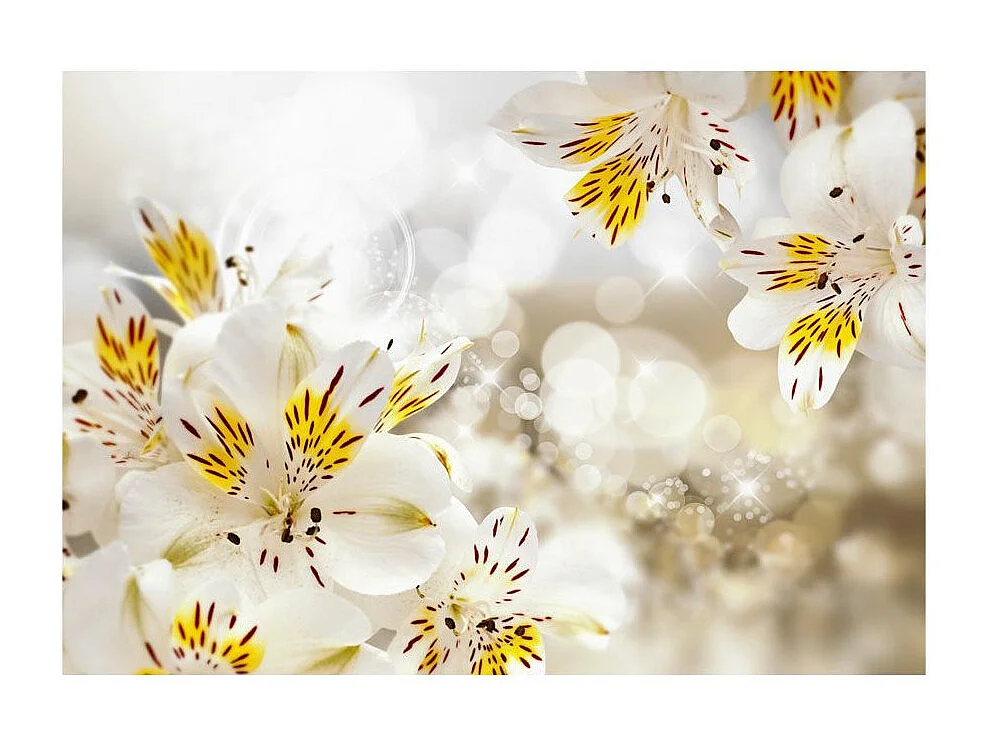 Papier Peint "Sunny Alstroemeria" 70 x 100 cm