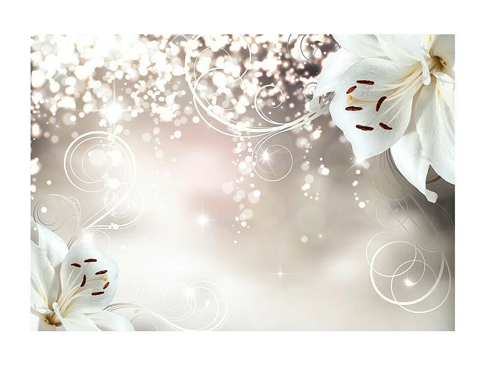 Papier Peint "Magic Composition" 175 x 250 cm