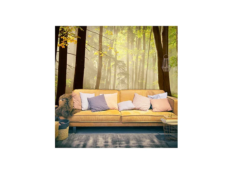 Papier Peint "Mysterious Forest Path" 270 x 350 cm