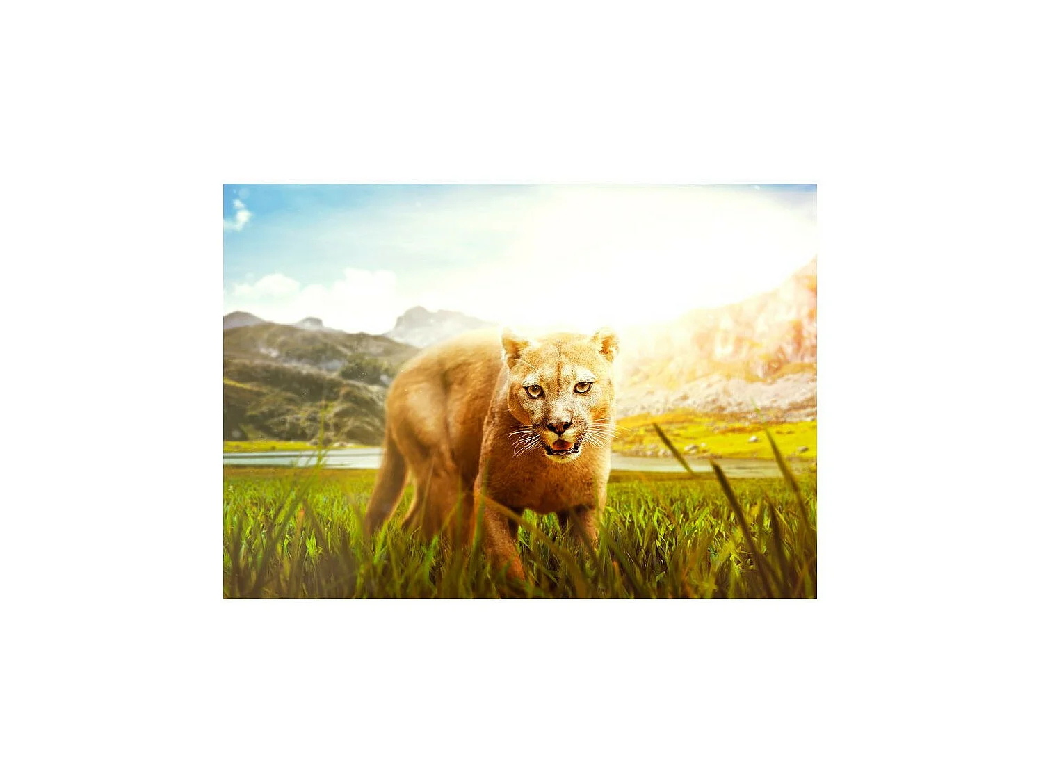 Papier Peint "Watch Out!" 210 x 300 cm