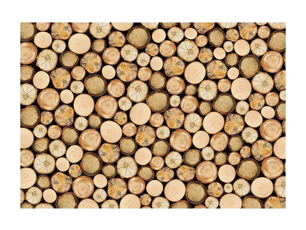 Papier Peint "Dans la Scierie" 70 x 100 cm