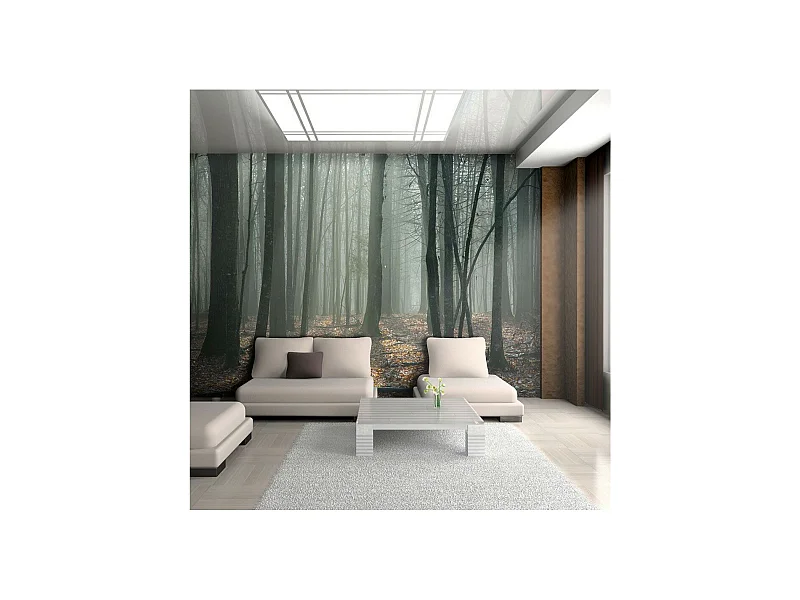 Papier Peint "Witches' Forest" 270 x 350 cm