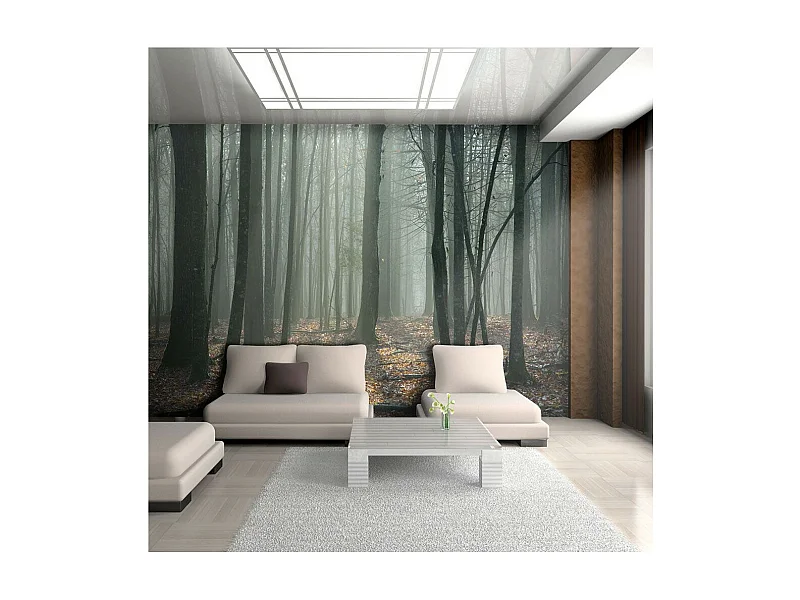 Papier Peint "Witches' Forest" 270 x 350 cm