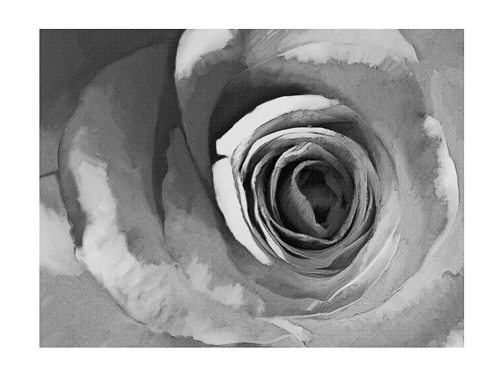 Papier Peint "Paper Rose" 270 x 350 cm