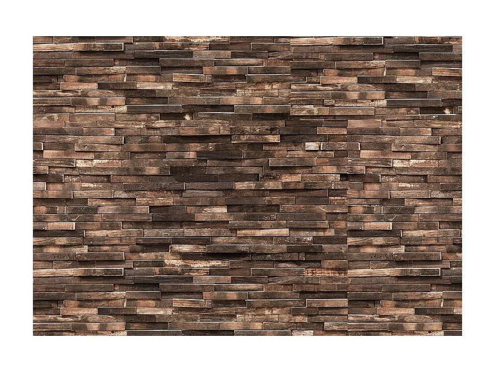 Papier Peint "Forest Home" 245 x 350 cm