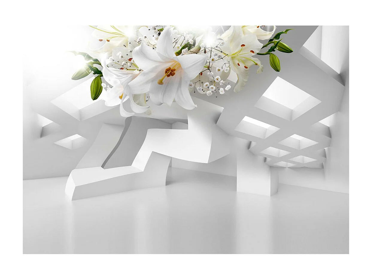 Papier Peint "Abstract Mirage" 245 x 350 cm