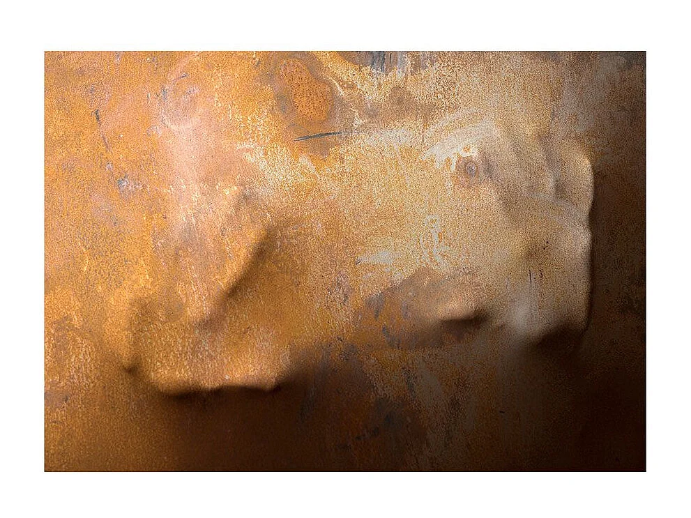 Papier Peint "Touch II" 210 x 300 cm