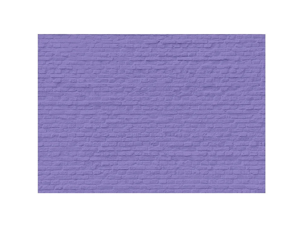 Papier Peint "Inspiration de Bruyère" 245 x 350 cm