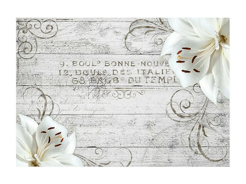 Papier Peint "Bonne Nouvelle" 175 x 250 cm