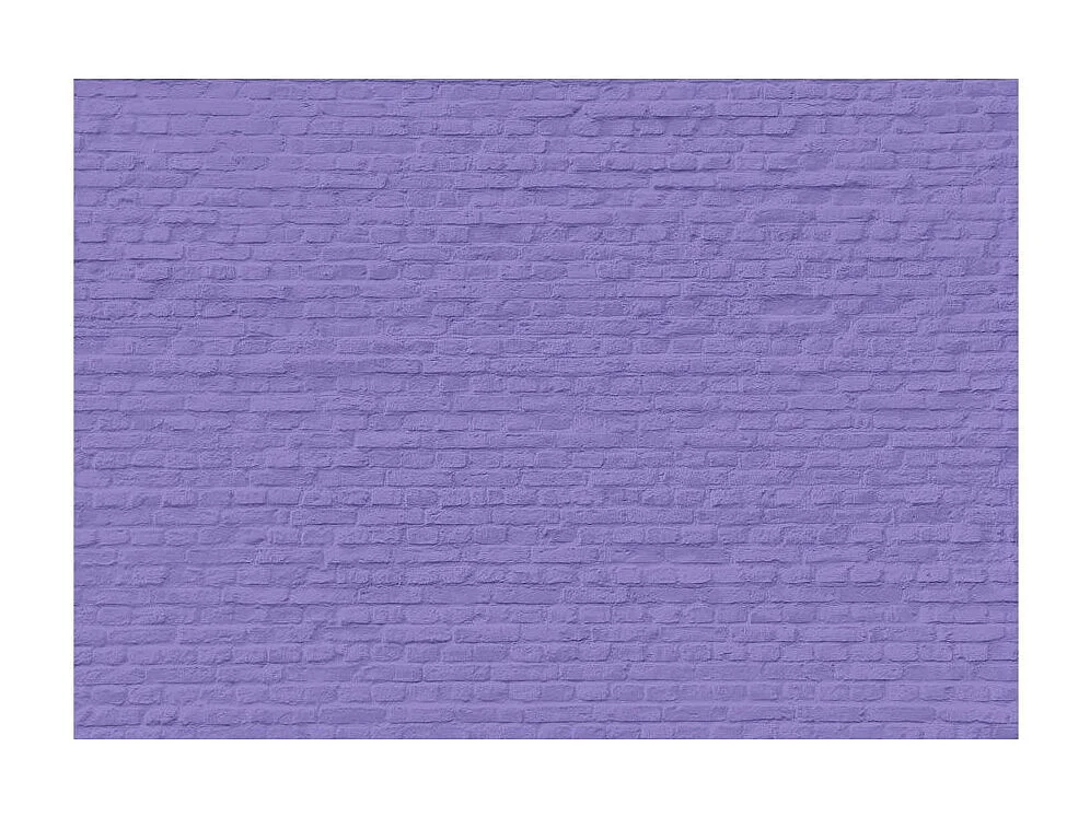 Papier Peint "Inspiration de Bruyère" 175 x 250 cm