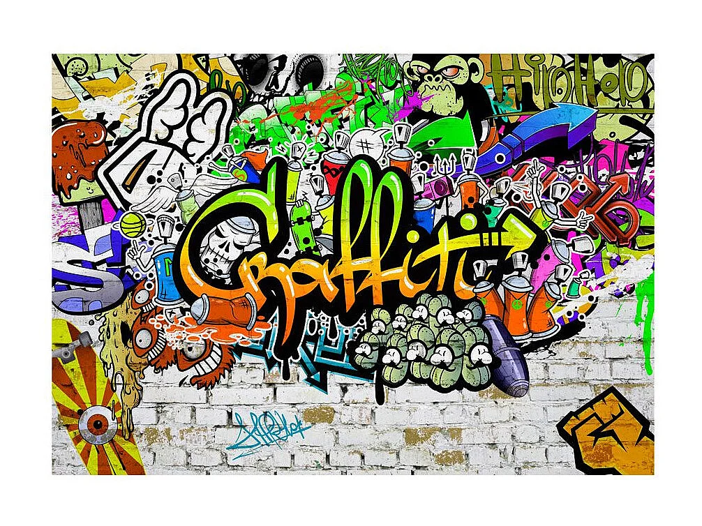 Papier Peint "Graffiti on the Wall" 245 x 350 cm