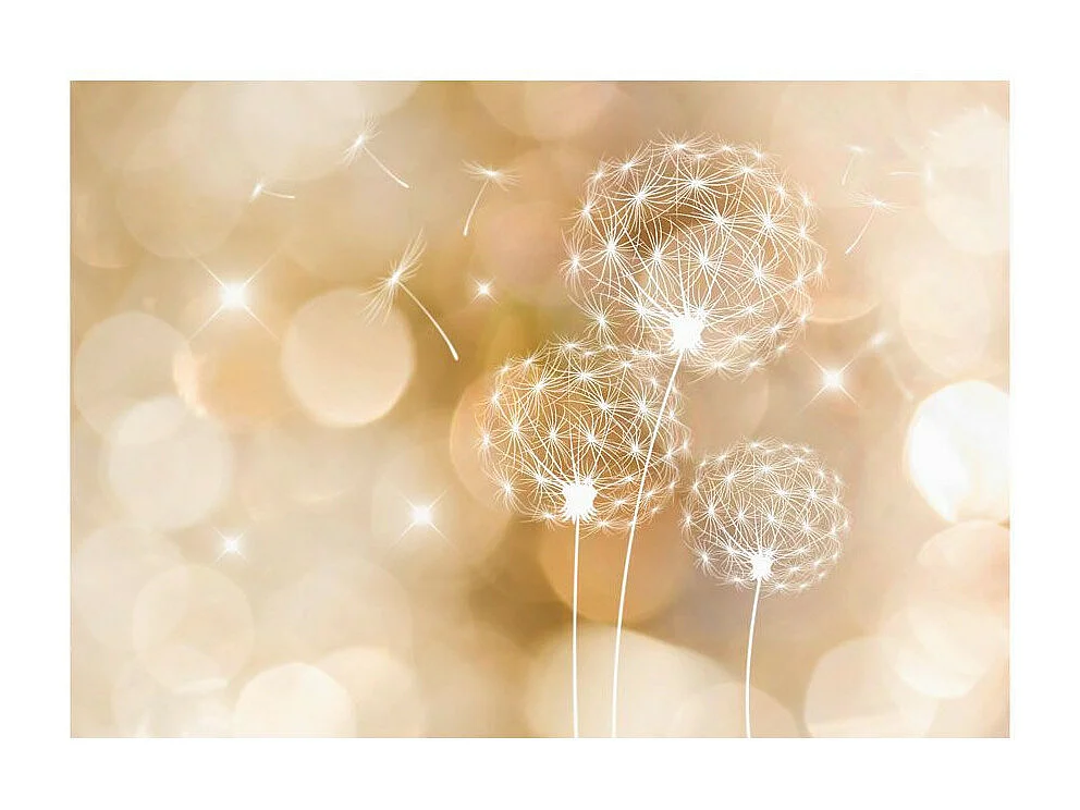 Papier Peint "Touch of Summer" 105 x 150 cm