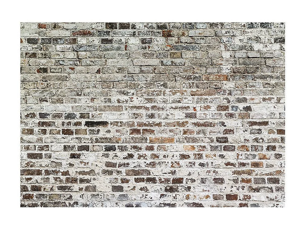 Papier Peint "Old Walls" 175 x 250 cm