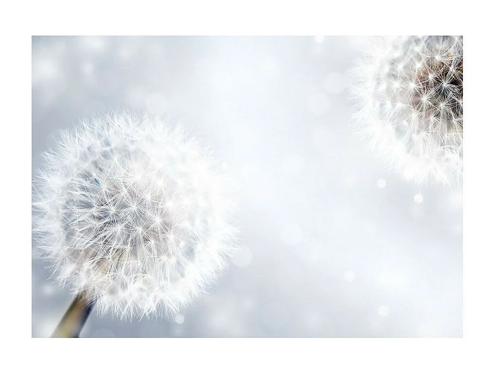 Papier Peint "Unpredictable Moments" 140 x 200 cm