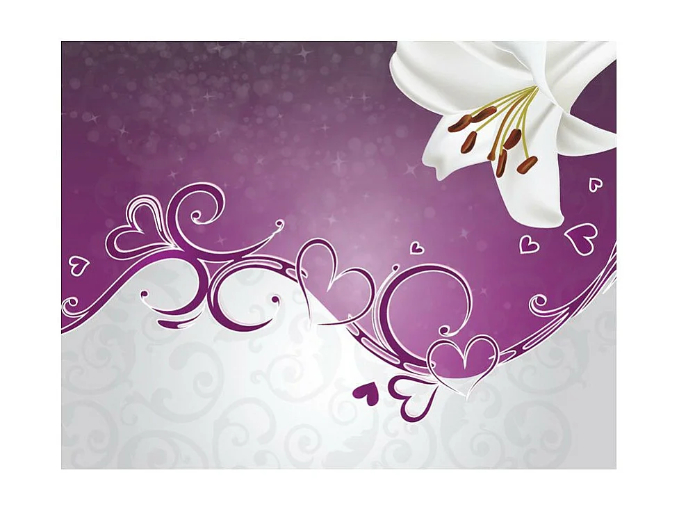 Papier Peint "Joyfulness" 270 x 350 cm