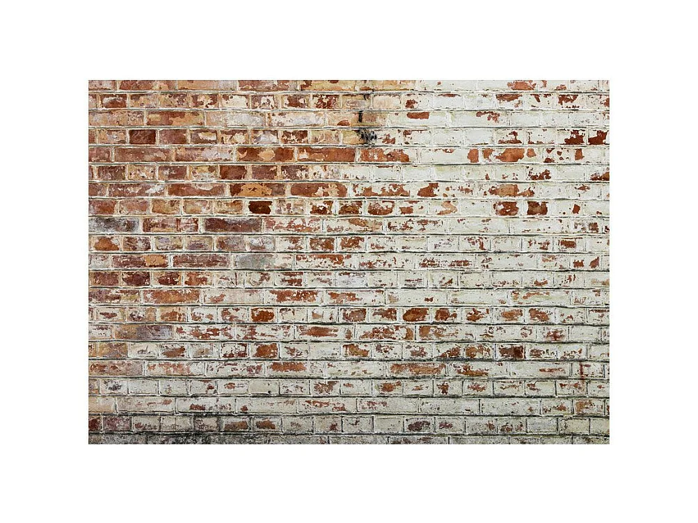 Papier Peint "Walls of Memory" 175 x 250 cm