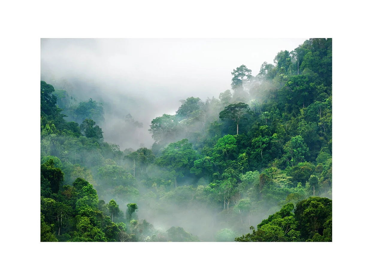 Papier Peint "Morning Fog" 140 x 200 cm