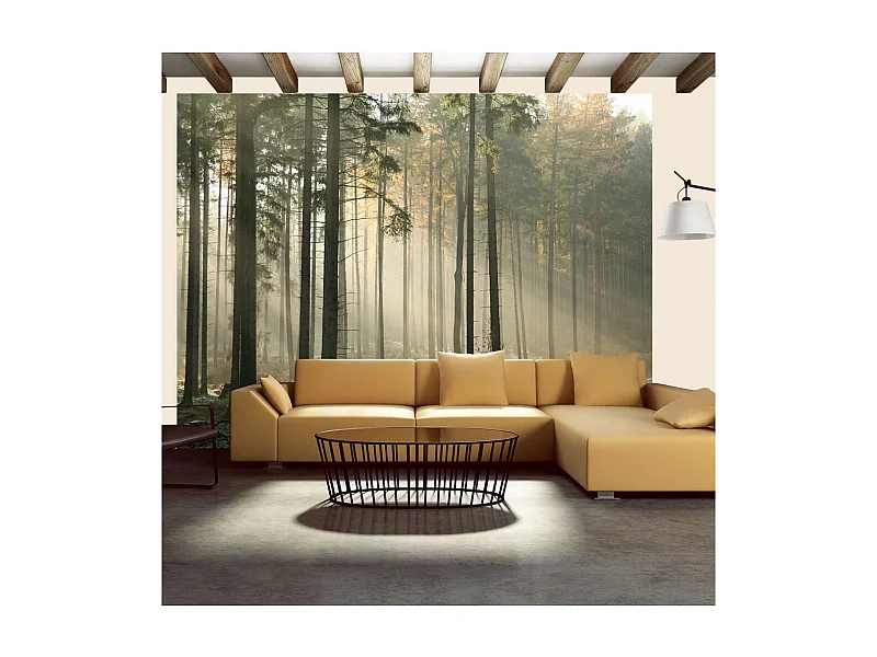 Papier Peint "Foggy November Morning" 193 x 250 cm