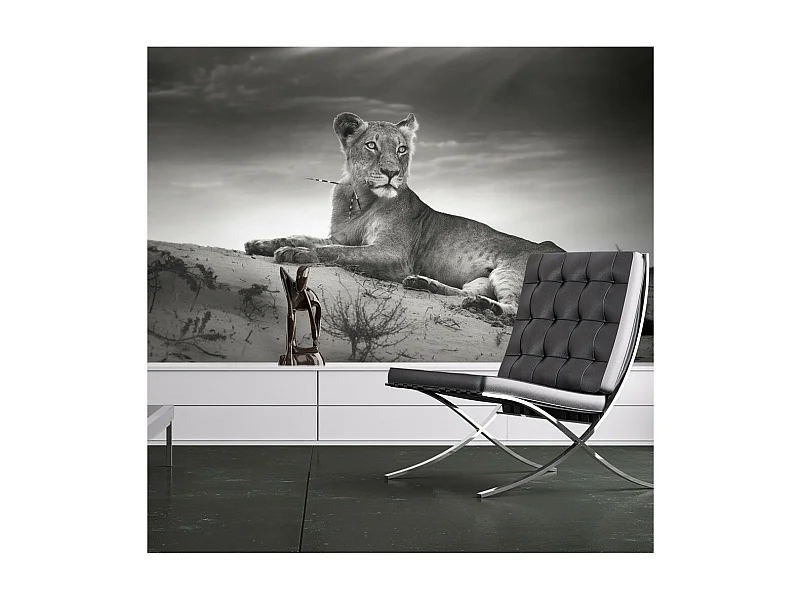 Papier Peint "Une Lionne en Noir & Blanc" 154 x 200 cm