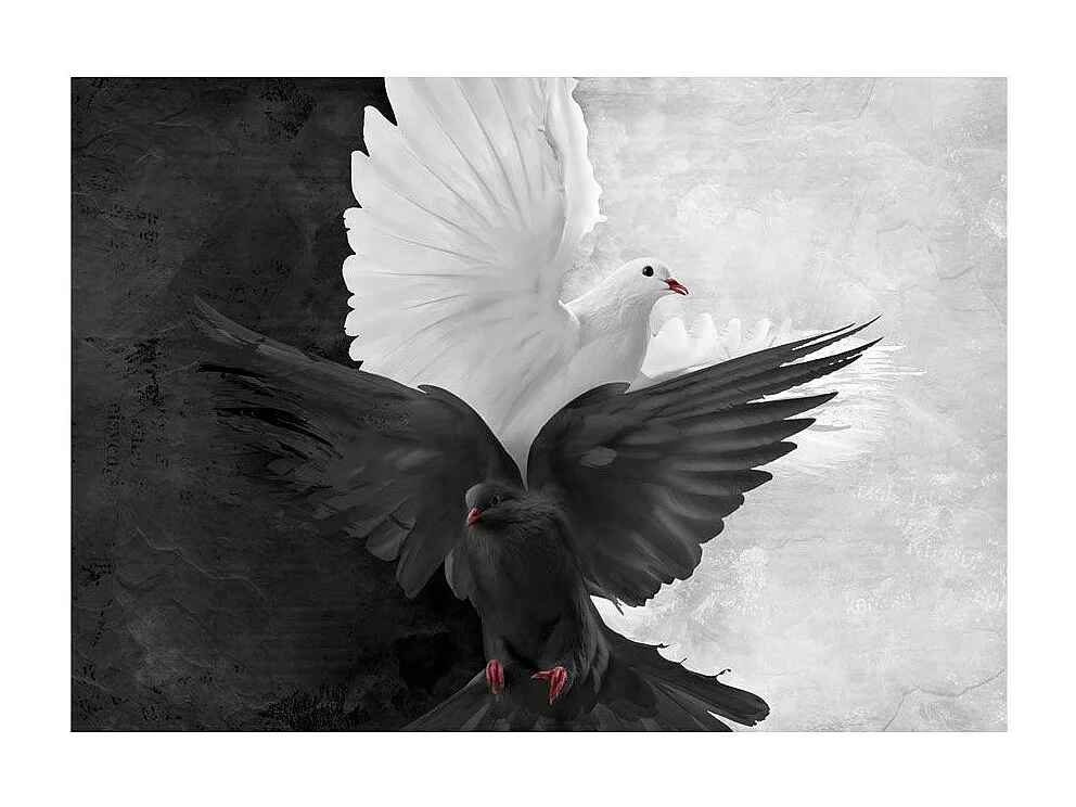 Papier Peint "Bon Contre le Mal" 231 x 300 cm